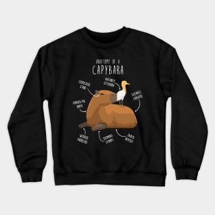 Capybara Anatomy Crewneck Sweatshirt